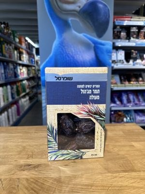 תמר מג'הול 400