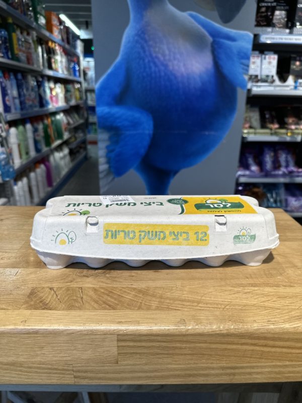 ביצים 12 יחידות